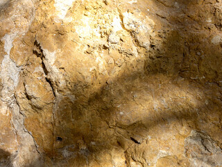 Light and shadow, a pattern created by sunlight passing through the branches of trees on a rock in a nature park in the mountains.