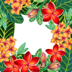 Hand painting watercolor illustrationinspired by Plumeria Frangipaniplants leaf greeting template frame on white