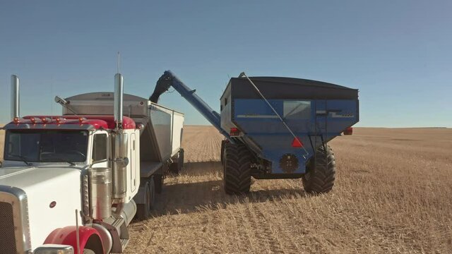 Grain Cart Unloading Tube Pouring Grains Into Trailer On Sunny Day. - Pullback Shot