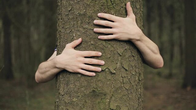 Man hugging a big tree bole in the forest