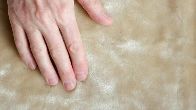 The designer checks the quality of the faux fur for suitability for sewing. The concept of fashion and animal welfare.