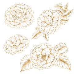 Gold lina camelia flowers, golden botanica, florals, wedding design elements © Яна Сидельникова