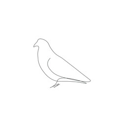 Bird silhouette line drawing vector illustration