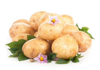 Raw potatoes with flowers and leaves isolated on white background