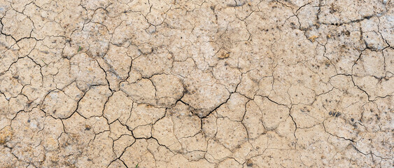 Brown dry soil or desert cracked ground texture background,land arid earth warming.