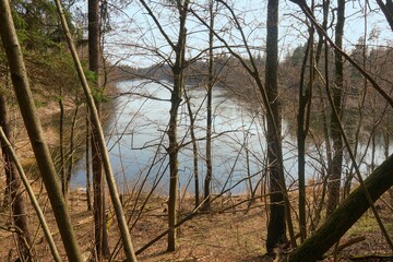 Over By The Forest Lake 3