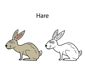 Funny cute animal hare isolated on white background. Linear, contour, black and white and colored version. Illustration can be used for coloring book and pictures for children