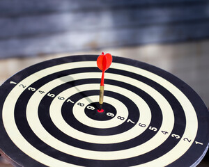 A dart that hits the center of the target for success.