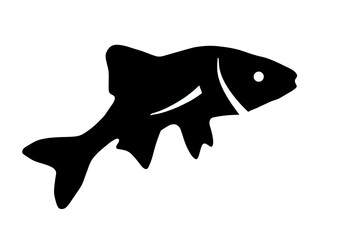 Black silhouette of fish on white background	