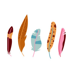 Set of hand drawn feathers in boho design. Flat illustration.