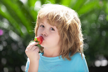 Happy little boy eats strawberries on green summer background.