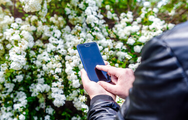 A man writes in a smartphone against a background of white flowers
