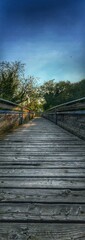 Fototapeta premium Country Road in spring