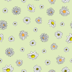 Vector pastel green background daisy flowers and wild flowers. Seamless pattern background