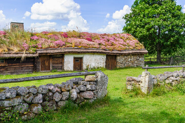 Fototapeta na wymiar Old cottage with flowering houseleek on the roof