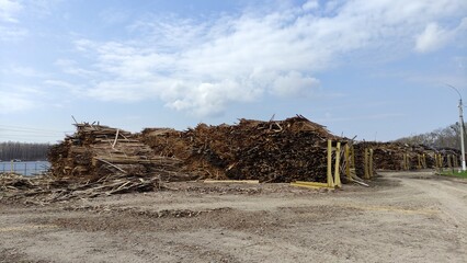Wood and wood chips - fuel for bio power plants.