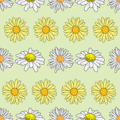 Vector pastel green background daisy flowers and wild flowers. Seamless pattern background