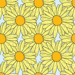 Vector blue background daisy flowers and wild flowers. Seamless pattern background