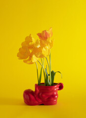 fresh yellow tulips in a gardening red shoes  on  the yellow sunny summer background. minimal creative decoration idea
