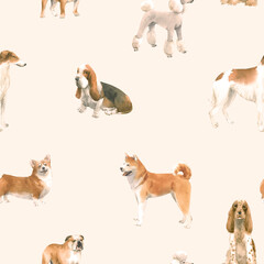 Beautiful seamless pattern with cute watercolor hand drawn dog breeds Cocker spaniel Greyhound Basset hound Poodle Bulldog and Welsh corgi pembroke . Stock illustration.