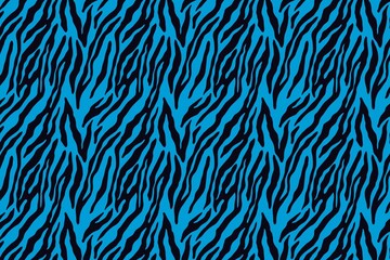 Fototapeta na wymiar tiger fur texture on blue background.
