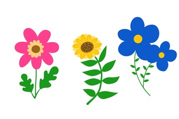set of flowers isolated  on white background.
