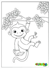 coloring monkey for kid, illustration vector on sheet best for  colouring.