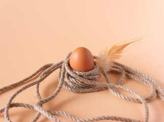 Chicken egg on a tightrope. Abstraction