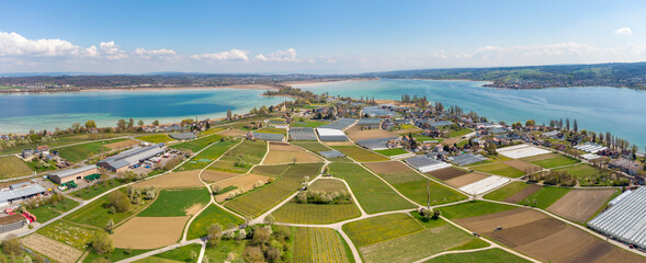 Blick über die Insel Reichenau im Bodensee