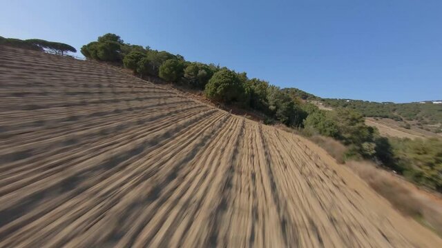 Fast speeding FPV drone footage flying over ploughed farmland and woodland trees Alella, Catalonia, Spain