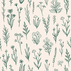 Wildflower seamless pattern with outline florals. Retro style print design with hand drawn doodle flowers in rustic colors. Simple field floral patterns for packaging, fabric design