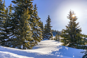 Amazing sunrise in Belmeken, Rila Mountains, Bulgaria