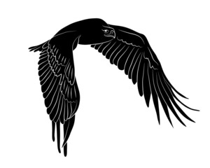 Black silhouette Cartoon flying wild eagle in isolate on a white background. Vector illustration.