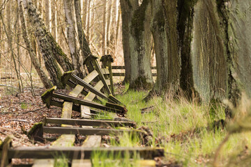 The overturned wooden fence