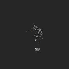 Hand drawing Aries constellation symbol with floral branch and stars. Modern minimalist mystical astrology aesthetic illustration with zodiac signs