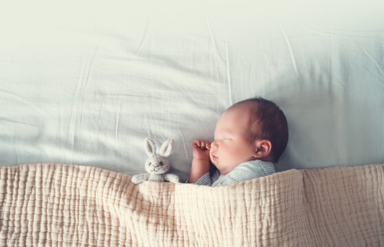 Newborn sleep at first days of life. Portrait of new born baby one week old with cute soft toy in crib in cloth background.