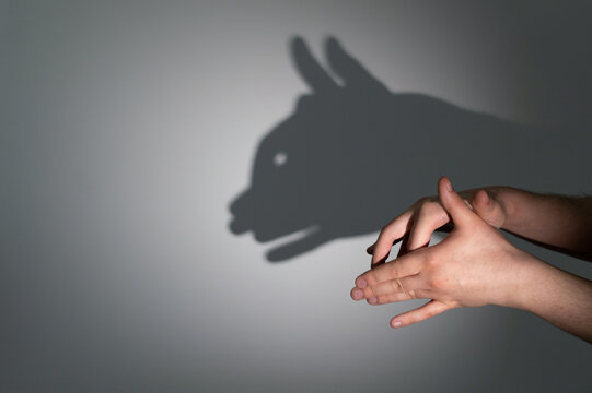 The man's hands folded in a gesture giving shadow in the form of a predatory cat on a light wall. The concept of shadow theater.