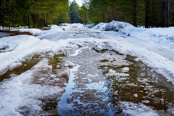 Dirty road in the snow in the middle of spruce and pine forests in early spring