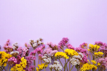 Flowers composition. Gypsophila flowers on purple background. Spring, summer concept. Flat lay, top view.