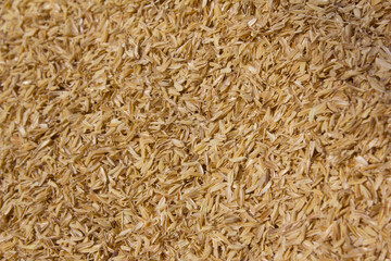 rice peel after harvest and hull background.