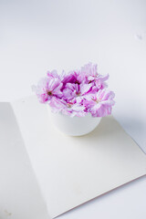 Spring flowers in a cup with card, send a birthday, mother`s day message to your mother, friends, father or a celebration