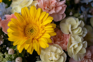 ガーベラとカーネーション