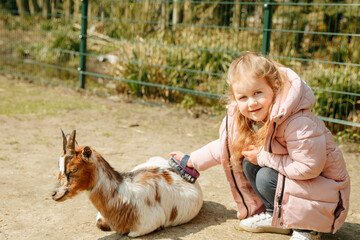 Little blonde girl in a pink jacket caresses a little goat. Child plays with a goat. Animal therapy...
