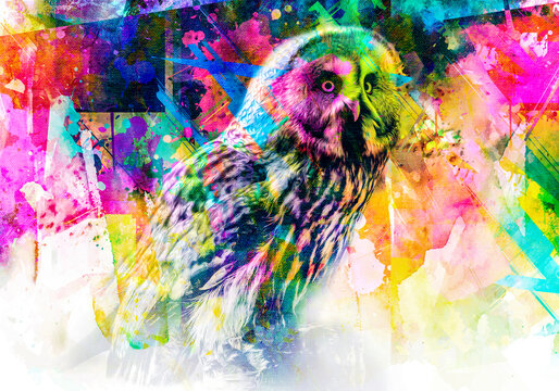 owl with creative abstract elements on colorful background