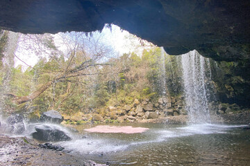 Waterfall in Japan