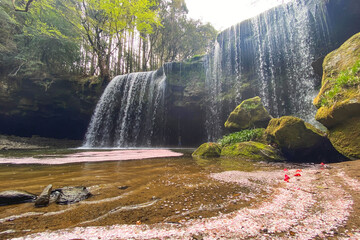 Waterfall in Japan