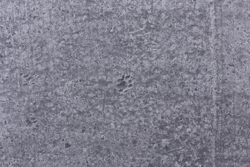 prints of cat paws on a concrete slab