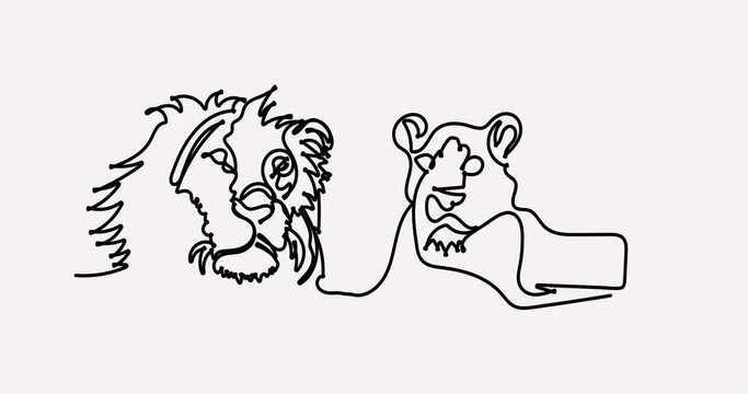 Lion icon Line Drawing Animation Transparent Background Motion Graphics Loop, lion father and mother