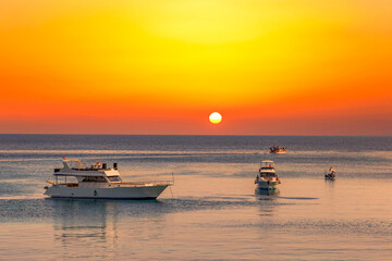 Yachts in a sea under sunset sky.