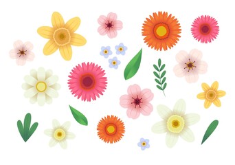 Flowers collection. Vector illustration in flat style, template for design